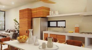 Render o imagen n&uacute;mero  16